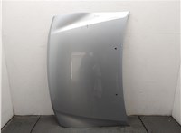 MR485951 Капот Mitsubishi Pajero / Montero 2000-2006 20329237 #1