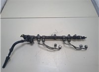  Рампа (рейка) топливная KIA Sorento 2009-2014 20329742 #1