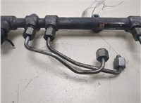  Рампа (рейка) топливная KIA Sorento 2009-2014 20329742 #2