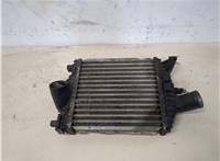  Радиатор интеркулера Mercedes Vito W638 1996-2003 20330065 #1