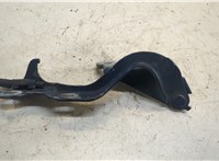  Петля капота Chevrolet Lacetti 20330200 #1