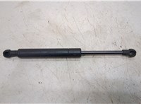  Амортизатор капота Bentley Continental GT 2003-2011 20330768 #1