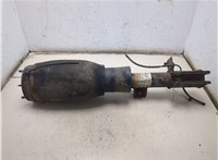22248331 Амортизатор подвески Land Rover Range Rover 3 (LM) 2002-2012 20330906 #6