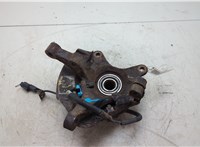 5171507100, 5175007001 Ступица (кулак, цапфа) KIA Picanto 2004-2011 20330915 #3