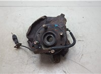 5171507100, 5175007001 Ступица (кулак, цапфа) KIA Picanto 2004-2011 20330915 #4