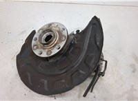  Ступица (кулак, цапфа) Skoda Kodiaq 20331025 #1