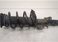  Амортизатор подвески Ford Focus 2 2008-2011 20331249 #1
