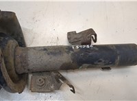  Амортизатор подвески Ford Focus 2 2008-2011 20331249 #4
