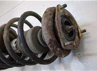  Амортизатор подвески Nissan Almera N16 2000-2006 20331290 #2
