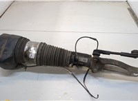  Амортизатор подвески BMW 7 G11, G12 2015-2019 20331326 #1