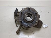 MR992374, MR992377 Ступица (кулак, цапфа) Mitsubishi L200 2006-2015 20331339 #1