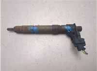 LR022335, 0445116043 Форсунка топливная Land Rover Range Rover Evoque 2011-2018 20331348 #8