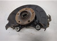 Ступица (кулак, цапфа) Volkswagen Tiguan 2011-2016 20331374 #1