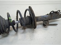  Амортизатор подвески Toyota RAV 4 2006-2013 20331405 #1