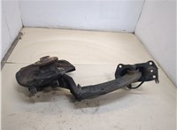  Ступица (кулак, цапфа) Volkswagen Tiguan 2011-2016 20331411 #1