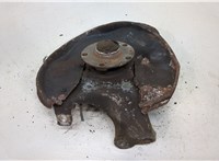  Ступица (кулак, цапфа) Audi A6 (C6) 2005-2011 20331502 #1