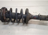  Амортизатор подвески KIA Carnival 2001-2006 20331526 #1
