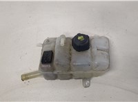  Бачок расширительный Renault Megane 4 2016-2020 20332130 #1
