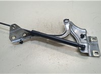  Петля крышки багажника Renault Megane 4 2016-2020 20332362 #1