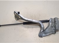  Петля крышки багажника Renault Megane 4 2016-2020 20332362 #2