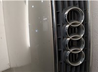  Решетка радиатора Audi A4 (B6) 2000-2004 11363998 #4