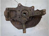  Ступица (кулак, цапфа) KIA Sorento 2002-2009 20332832 #1