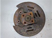  Ступица (кулак, цапфа) Renault Kangoo 2008-2013 20332984 #1