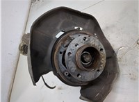  Ступица (кулак, цапфа) BMW X1 (E84) 2009-2015 20333163 #2