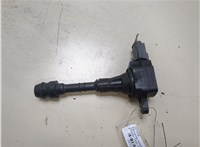  Катушка зажигания Nissan Titan 2003-2007 20333595 #1