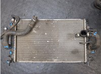 1300304, 13283244 Радиатор охлаждения двигателя Opel Meriva 2010-2018 20333693 #4