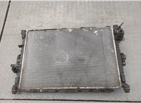  Радиатор охлаждения двигателя Ford Mondeo 4 2007-2015 20333730 #1