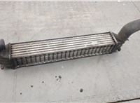 Радиатор интеркулера Volkswagen Sharan 2000-2010 20333752 #2