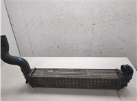  Радиатор интеркулера Volkswagen Sharan 2000-2010 20333752 #4