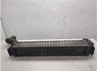  Радиатор интеркулера Volkswagen Sharan 2000-2010 20333752 #5