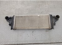  Радиатор интеркулера Mercedes ML W164 2005-2011 20334144 #1