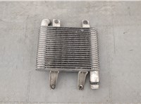  Радиатор интеркулера Hyundai Terracan 20334154 #1