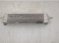  Радиатор интеркулера Nissan X-Trail (T31) 2007-2015 20334203 #2