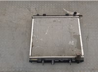 Радиатор охлаждения двигателя Land Rover Range Rover 2 1994-2003 20334288 #1