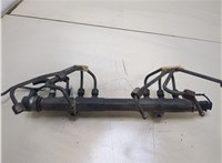  Рампа (рейка) топливная Volvo V70 2001-2008 20334393 #4