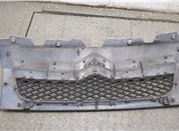  Решетка радиатора Citroen Jumper (Relay) 2006-2014 20334527 #8