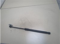  Амортизатор капота Volvo XC40 20334846 #1