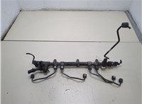 314002F000 Рампа (рейка) топливная KIA Sorento 2009-2014 20334880 #1