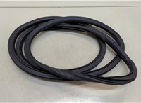  Уплотнитель Chevrolet Orlando 2011-2015 20334965 #1