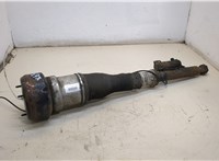  Амортизатор подвески Mercedes S W221 2005-2013 20335269 #1