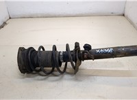  Амортизатор подвески Skoda Octavia (A7) 2017-2021 20335624 #1