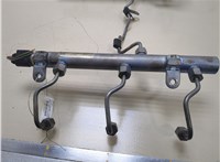 5175610AA, 5175611AA Рампа (рейка) топливная Jeep Grand Cherokee 2004-2010 20335652 #3