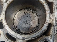 1360177, 1364485, 3S7G6011BB, RM3S7G6011BB Блок цилиндров (Шорт блок) Ford Focus 2 2005-2008 20336119 #8