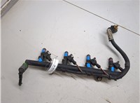  Форсунка топливная Renault Megane 2 2002-2009 20336176 #6