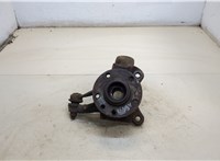  Ступица (кулак, цапфа) Volkswagen Transporter 5 2003-2009 20336381 #1