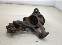  Ступица (кулак, цапфа) Volkswagen Transporter 5 2003-2009 20336477 #2